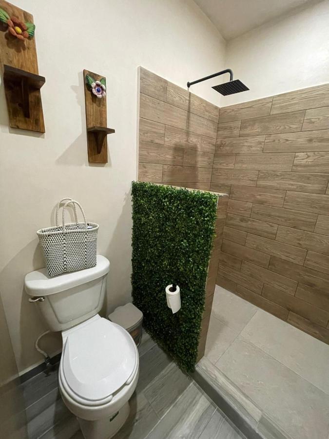 Cancun Studio Loft المظهر الخارجي الصورة