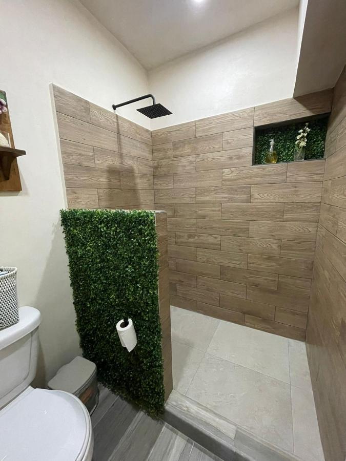 Cancun Studio Loft المظهر الخارجي الصورة