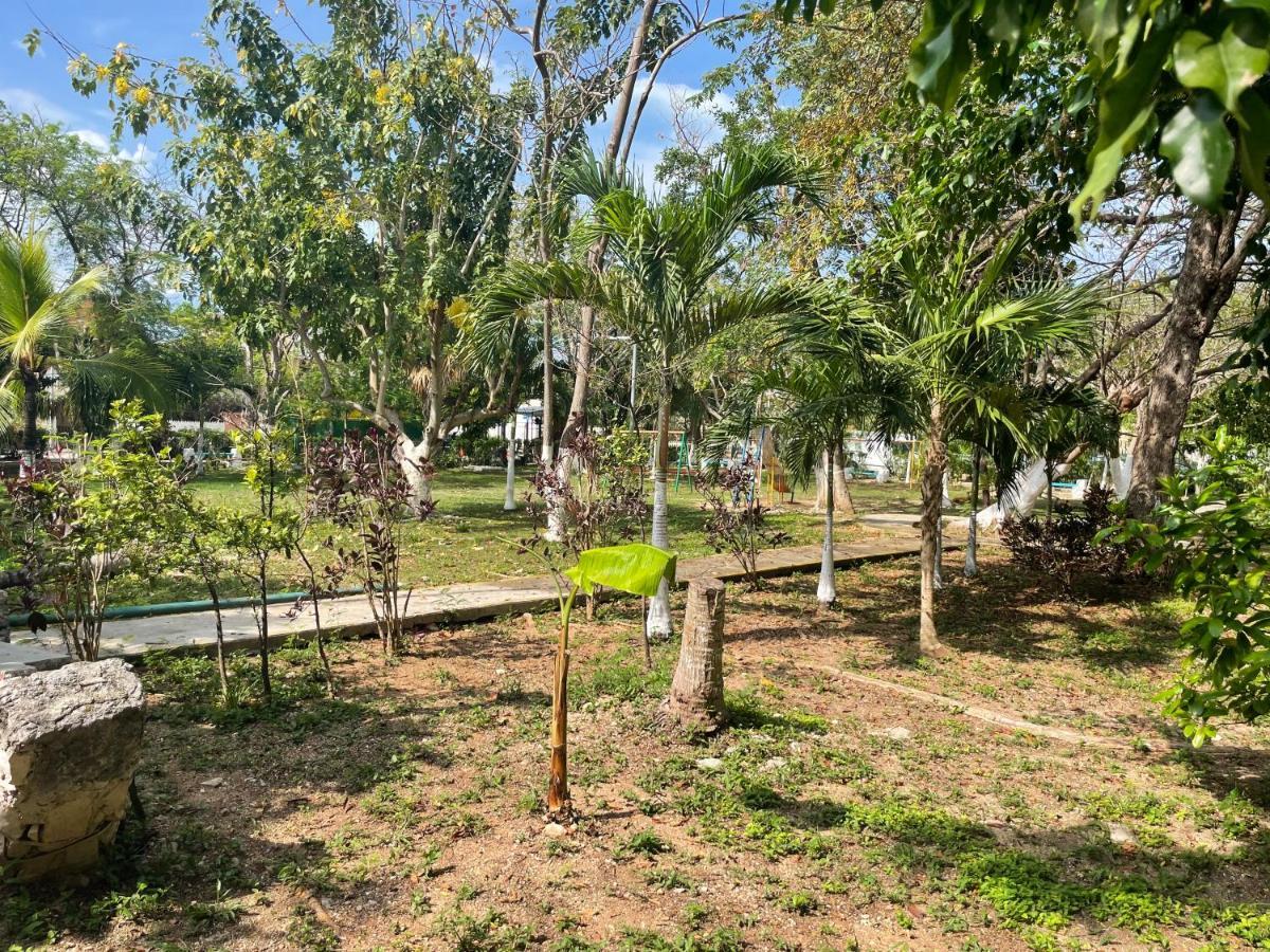 Cancun Studio Loft المظهر الخارجي الصورة